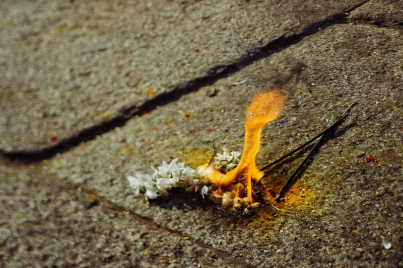 Fire Before Feet: Why the Goma Ceremony Deserves Top Billing on Your Kiso-Ontake Itinerary