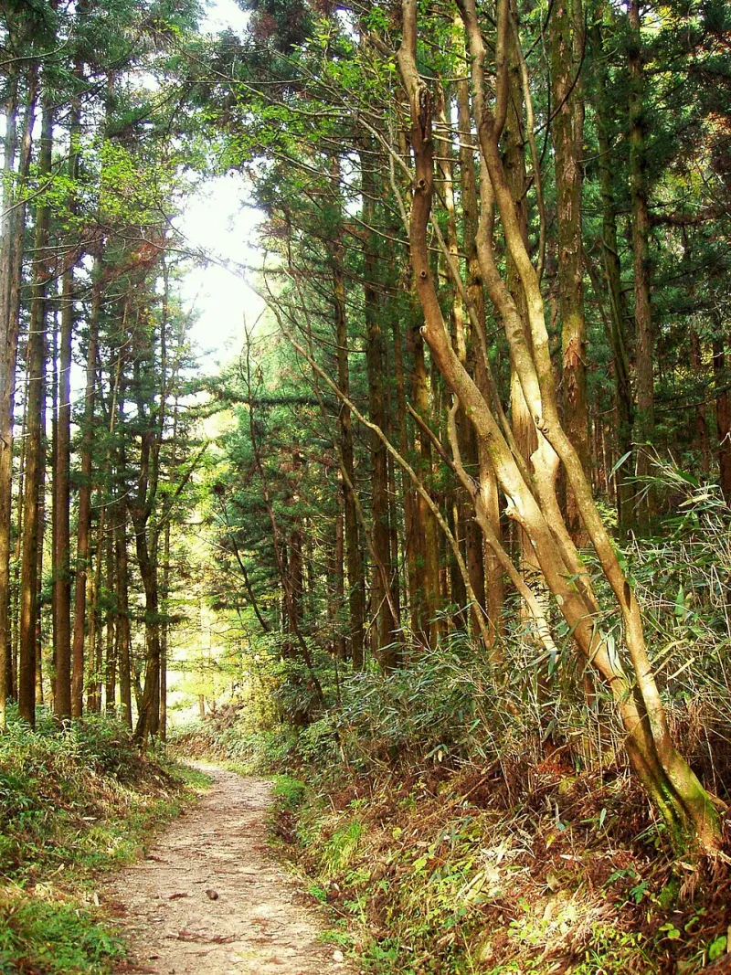 The Summit Is the Opening Act: Stretching One Kiso-Ontake Climb Into a Week of Kiso Valley Slow Travel