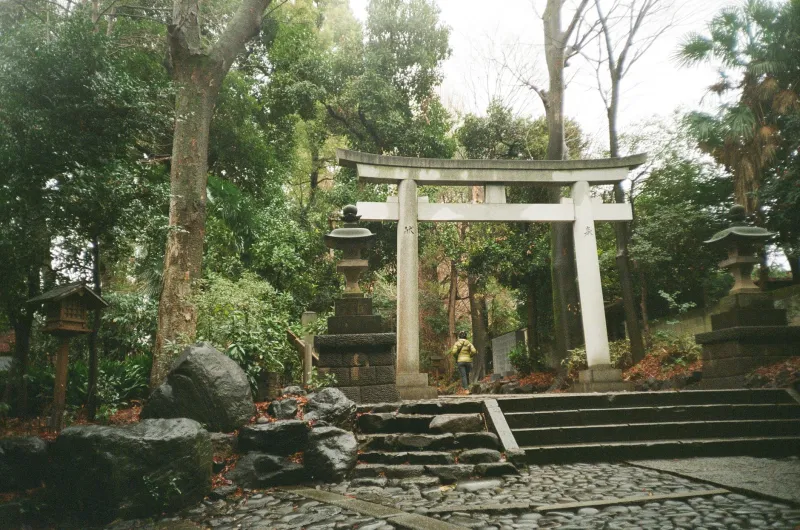 Walking Alone to the Shrine Village: A Solo Traveler's Honest Notes on Otaki and Rural Nagano